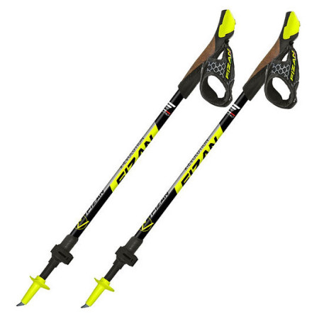 Štapovi za nordijsko hodanje Fizan R-Evolution