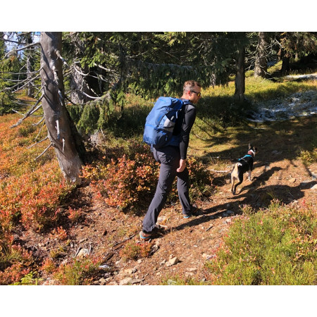 Ruksak Pinguin Vector 35