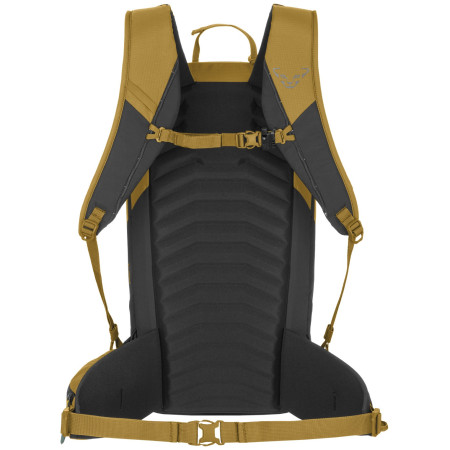 Muški ruksak Dynafit Ridge 26 Backpack