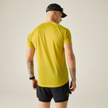 Muška majica Dare 2b Accelerate Tee