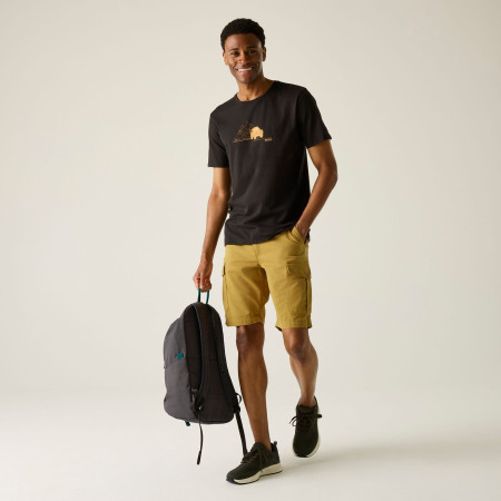 Muške kratke hlače Regatta Ruwan Shorts