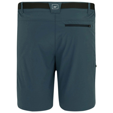 Muške kratke hlače Regatta Xert Stretch Shorts