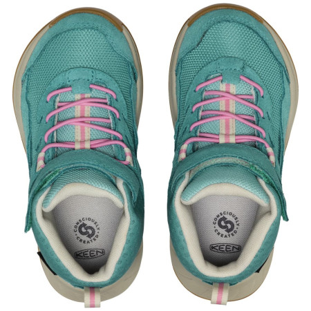 Dječja obuća Keen Hightrail Mid Wp Children Brittany Blue
