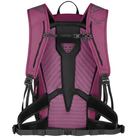 Ženski planinarski ruksak Dynafit Transalper 22 Backpack W