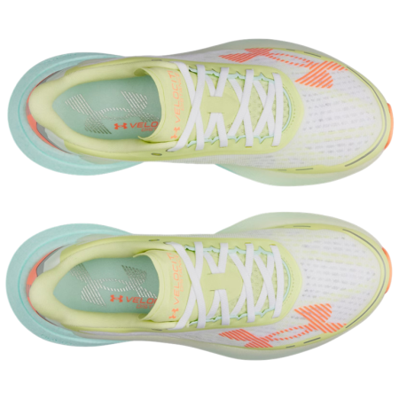 Muške cipele Under Armour Velociti Distance