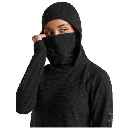 Ženska dukserica Icebreaker Wom Mer 400 RealFleece Grid Pulover Hood