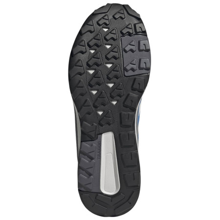 Muške cipele Adidas Terrex Anylander R.Rdy