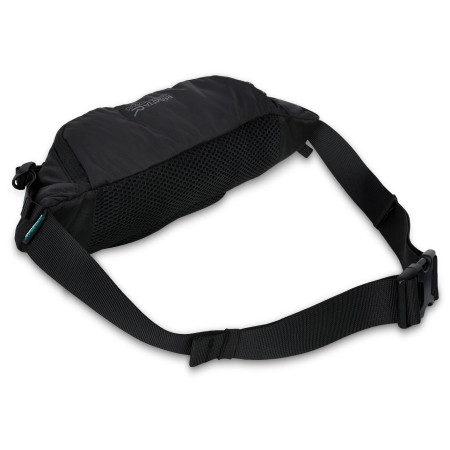 Torbice oko struka Regatta Blackfell IV 5L Hip Pack