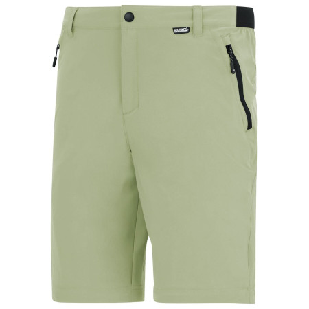 Muške hlače Regatta Anti-Insect Travel Light Z/O Trousers