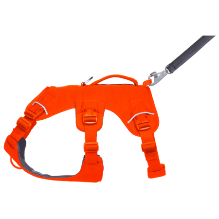 Ogrlica za psa Ruffwear Web Master™ Harness