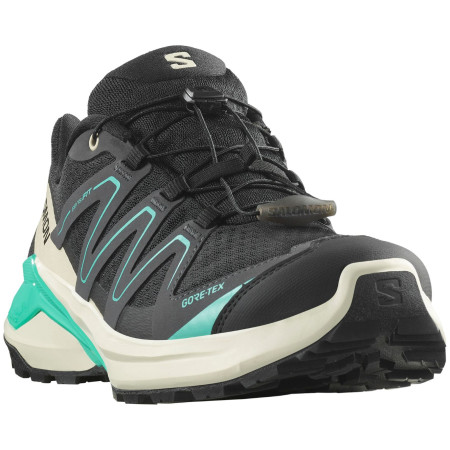 Ženske planinarske cipele Salomon Examotion Gore-Tex