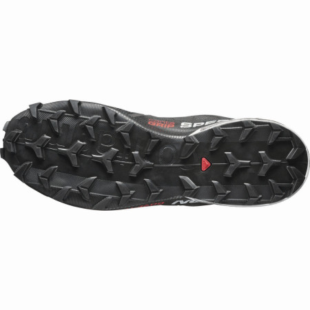 Muške cipele Salomon Speedcross 6 Gtx 20 Years