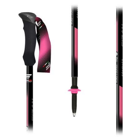 Trekking štapovi Fizan Compact Tech