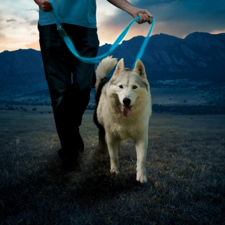 Povodac za psa Nite Ize LED NiteDog
