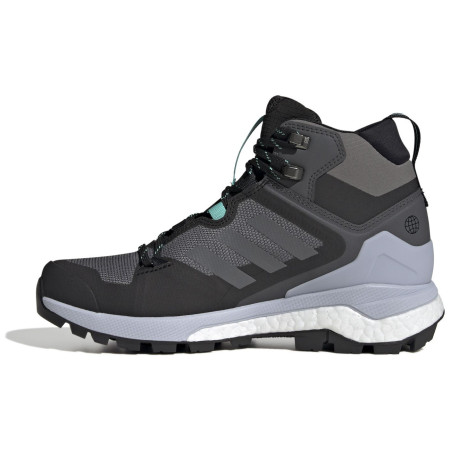 Ženske cipele Adidas Terrex Skychaser 2 MID GTX W