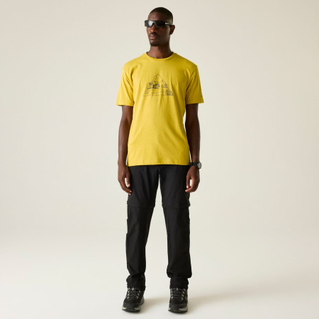Muška majica Dare 2b Movement III Tee