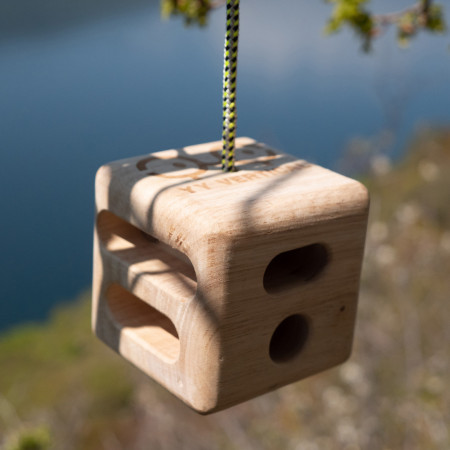 Daska za trening za penjanje YY VERTICAL Cube