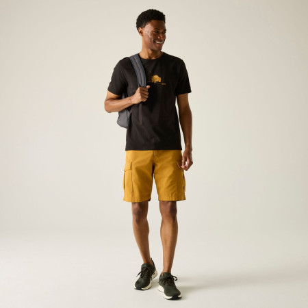 Muška majica Regatta Cline IX