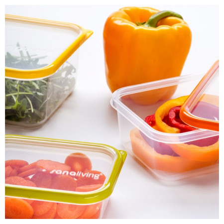 Kutija za hranu Omada Sanaliving Box Set 3x 19x14x9cm/1,3L