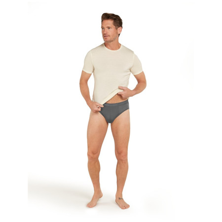 Muško donje rublje Icebreaker Mens Anatomica Briefs