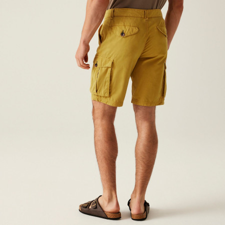 Muške kratke hlače Regatta Shorebay Shorts II