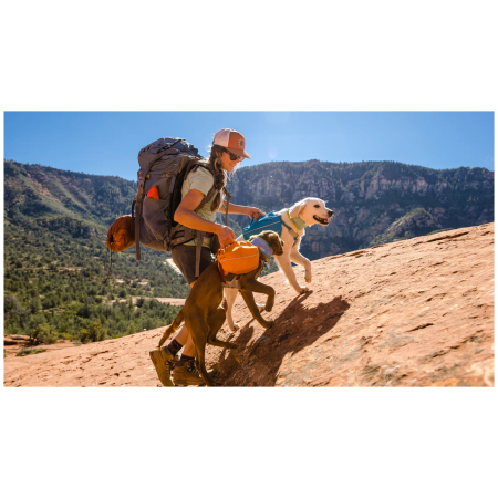 Ruksak za psa Ruffwear Approach™ Pack
