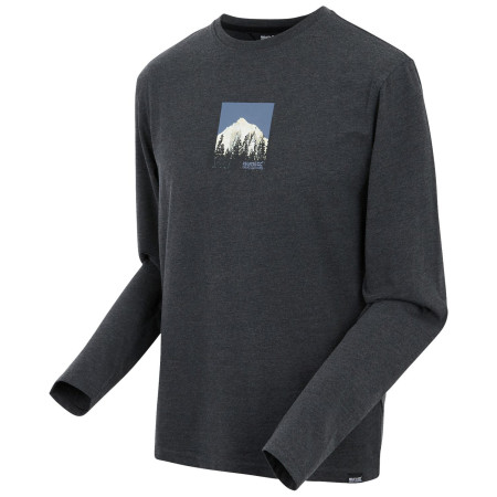 Muška majica Regatta Maylow