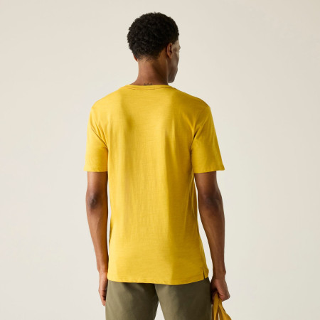 Muška majica Regatta Rendro