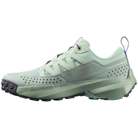 Ženske cipele Salomon Terramphibian W