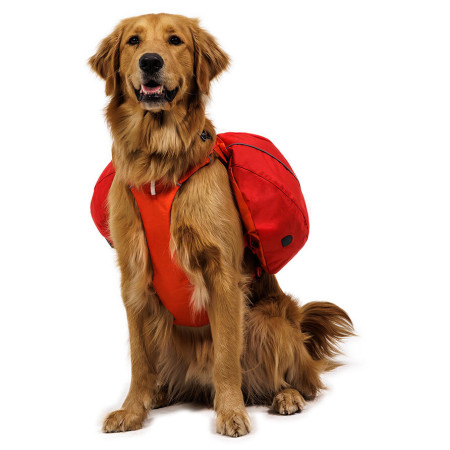 Ogrlica za psa Ruffwear Palisades™ Pack