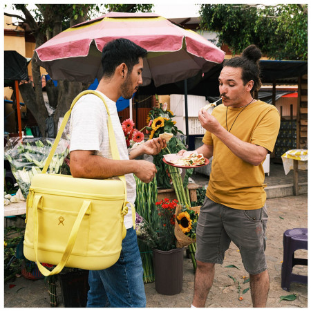 Torbe za hlađenje Hydro Flask Carry Out Soft Cooler 20 L