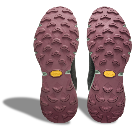 Ženske tenisice za trčanje Dynafit Ultra 100 Gtx W