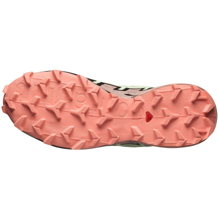Ženske cipele Salomon Speedcross 6 Gore-Tex