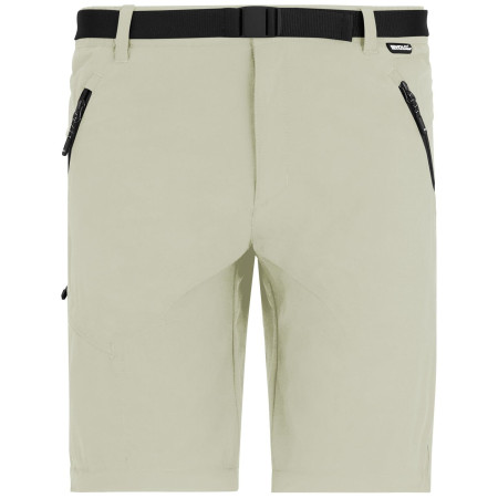 Muške hlače Regatta Xert Stretch Z/O Trousers