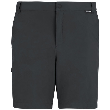Muške kratke hlače Regatta Anti-Insect Travel Light Shorts siva Ash