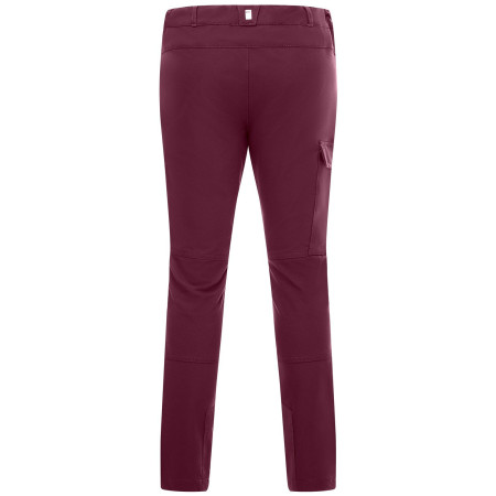 Dječje hlače Regatta Tech Mountain Trousers Fig