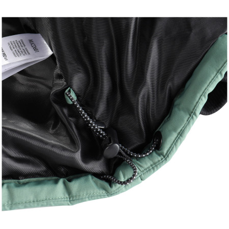 Muška jakna Alpine Pro Werd