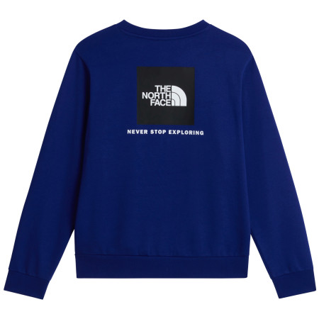 Muška dukserica The North Face M Evolution Box Nse Regular Crew