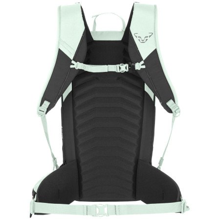 Ženski ruksak Dynafit Ridge 24 Backpack W