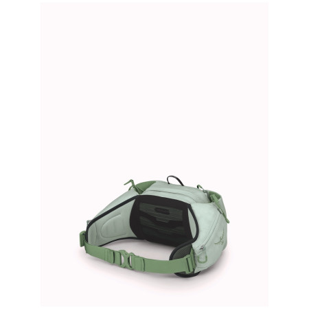Torbice oko struka Osprey Tempest 6