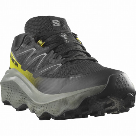 Muška obuća Salomon Ultra Flow 2 Gore-Tex crna Black / Sedona Sage / Incaberry