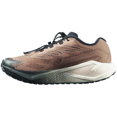 Muške cipele Salomon Aero Blaze 4 Grvl