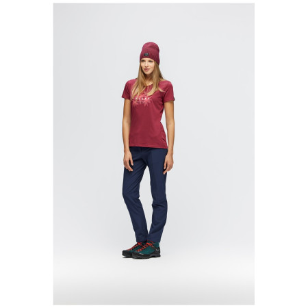 Ženske hlače Salewa TERMINAL DST W PNT