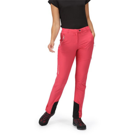 Ženske hlače Regatta Mountain Trs III