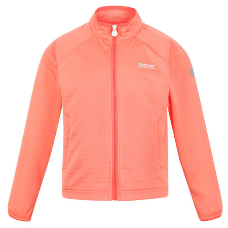 Dječja dukserica Regatta Jnr Highton LteII