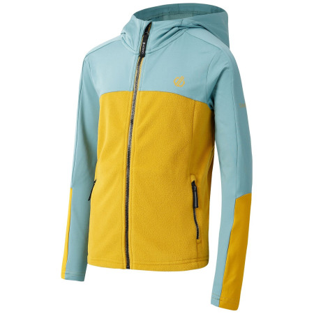 Dječja funkcionalna dukserica Dare 2b Thriving IV Core Stretch