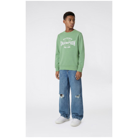 Dječja dukserica Champion Crewneck Sweatshirt B GMS