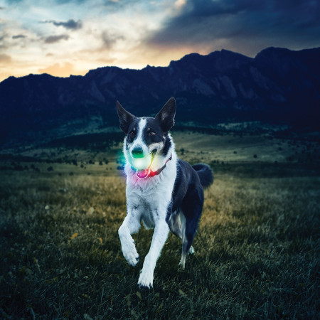 Igračka za psa Nite Ize Glowstreak LED Ball