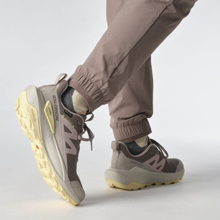 Ženske planinske cipele Salomon Elixir Activ Gore-Tex