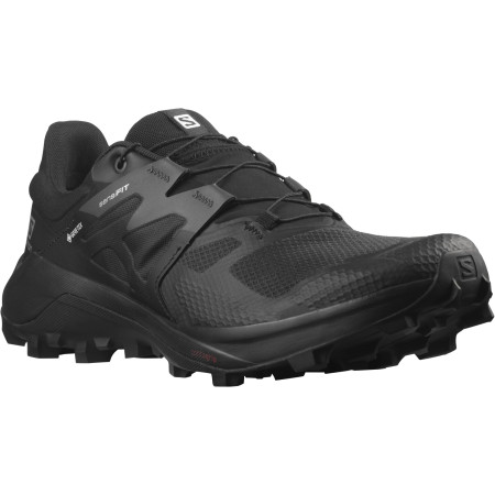 Muške cipele Salomon Wildcross 2 Gore-Tex crna Black(PantoneTapShoe)